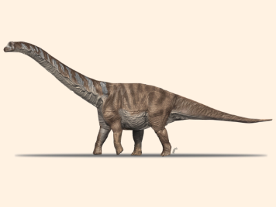 Abditosaurus © Oscar Sanisidro, Museu de la Conca Dellà. Creative Commons NonCommercial International 4.0 (CC BY-NC 4.0)