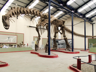 Skelettrekonstruktion des Argentinosaurus / Sellers et al. Creative Commons 4.0 International (CC BY 4.0)