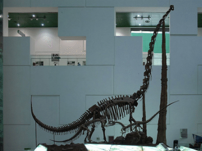 Chuanjiesaurus / Yan Li. Creative Commons NonCommercial-ShareAlike 2.0 Generic (CC BY-NC-SA 2.0)