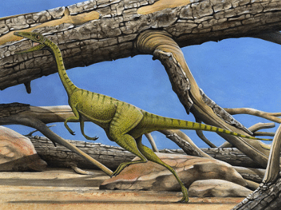 Compsognathus / © Arturo de Miguel. Verwendet mit freundlicher Genehmigung des Autors.
