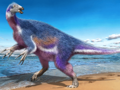 Paralitherizinosaurus © Masato Hattori. Creative Commons 4.0 International (CC BY 4.0)