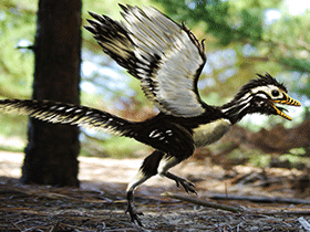 Archaeopteryx / © Alain Bénéteau. Verwendet mit freundlicher Genehmigung des Autors.