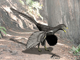 Archaeopteryx / © N. Tamura. Verwendet mit freundlicher Genehmigung des Autors