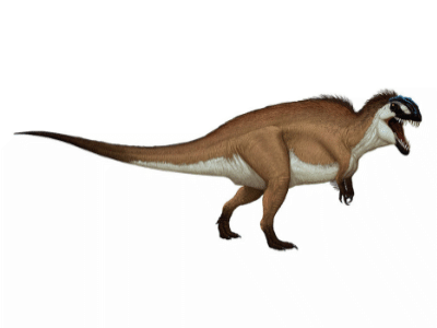 Acrocanthosaurus / © Edyta Felcyn. Verwendet mit freundlicher Genehmigung des Autors.