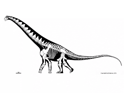 Alamosaurus / © Scott Hartman. Verwendet mit freundlicher Genehmigung des Autors.