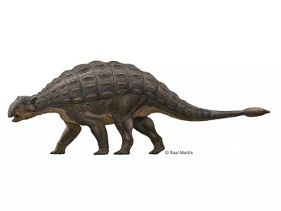 Ankylosaurus / © Raul Martin. Verwendet mit freundlicher Genehmigung des Autors.