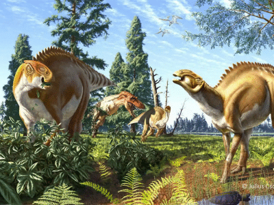 Brachylophosaurus / © Julius T. Csotonyi.  Verwendet mit freundlicher Genehmigung des Autors.