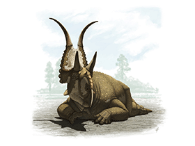 Diabloceratops / © Andrey Atuchin. Verwendet mit freundlicher Genehmigung des Autors.