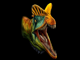 Dilophosaurus / © Davide Bonadonna. Verwendet mit freundlicher Genehmigung des Autors.