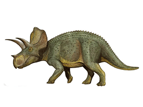 Ojoceratops / © Sergey Krasovskiy. Verwendet mit freundlicher Genehmigung des Autors.