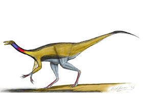 Ornithomimus / © Michael Hanson. Verwendet mit freundlicher Genehmigung des Autors