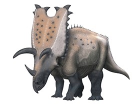 Pentaceratops / © Scott Hartman. Verwendet mit freundlicher Genehmigung des Autors.