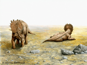 Sinoceratops / © Marcus Burkhardt. Verwendet mit freundlicher Genehmigung des Autors.