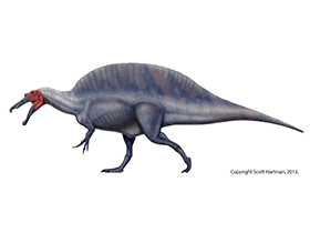 Spinosaurus / © Scott Hartman. Verwendet mit freundlicher Genehmigung des Autors.