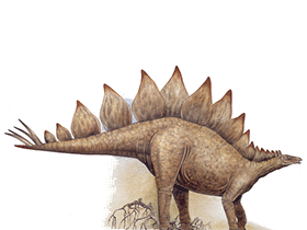 Stegosaurus / © Arturo De Miguel. Verwendet mit freundlicher Genehmigung des Autors.