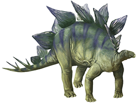 Stegosaurus / © Karen Carr. Verwendet mit freundlicher Genehmigung des Autorin.