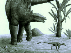 Stegosaurus & Ornitholestes / © Marcus Burkhardt. Verwendet mit freundlicher Genehmigung des Autors.
