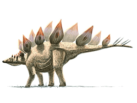 Skelett des Stegosaurus / © Alain Beneteau. Verwendet mit freundlicher Genehmigung des Autors