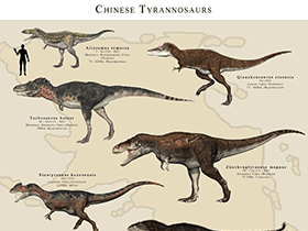 Chinesische Tyrannosaurier / © James Kuether. Verwendet mit freundlicher Genehmigung des Autors.