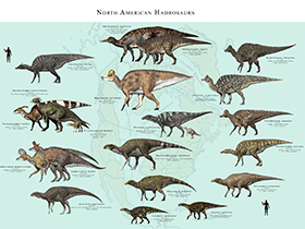 nordamerikanische Hadrosaurier / ©  James Kuether. Verwendet mit freundlicher Genehmigung des Autors