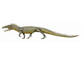 Proterosuchus / Bild ist gemeinfrei (Public Domain)