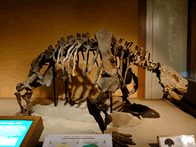 Scutosaurus / Kumiko. Creative Commons ShareAlike 2.0 Generic (CC BY-SA 2.0)