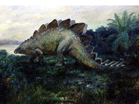 Stegosaurus, gezeichnet 1902